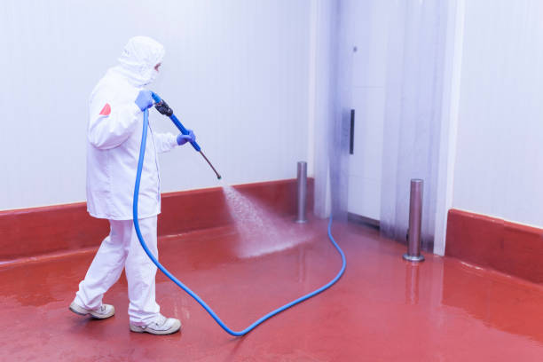  Troy, MO Pressure Washing Pros